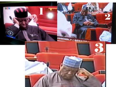 Senator Barnabas Gemade caught sleeping during plenary...for the 3rd time in one year
